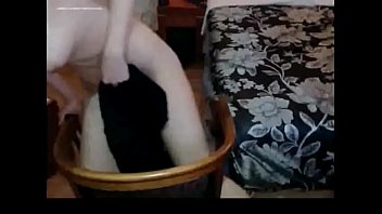 Gadis Tionghoa Seksi Dengan Tubuh Sempurna Yang Menggoda