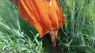 Desi Bhabhi Digeber Di Ladang Gandum Oleh Suaminya