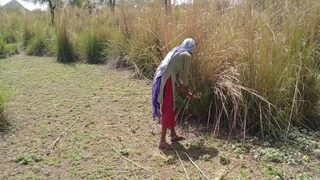 Video Panas Pekerja Kasar Dan Pria Mesum Di Ladang Terbuka