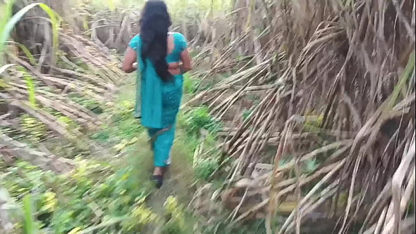 Panasnya Tebu Di Ladang, Istri Tetangga Ku Entot Sampe Muncrat Keras.